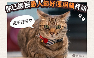 總統曬可愛「蔡想想」提醒  亂開疫情玩笑將罰300萬