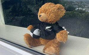 為孩子消遣停課時光 全球掀自發性「捕熊」活動