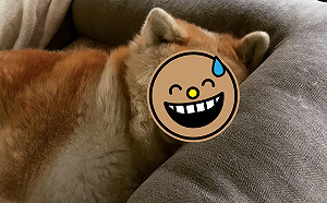(影)秋田犬睡覺就會擠到臉全變形　網一看驚：你的眼睛呢？