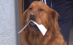 獨居婦人居家隔離缺物資好煩惱　金金：我幫你買！