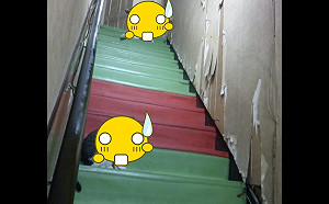 跟餐廳老闆借個廁所　一過轉角見「毛黑幫」狠逼視：罐罐交粗乃！