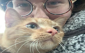 女子回家發現一橘貓　尋找失主竟演變神發展！