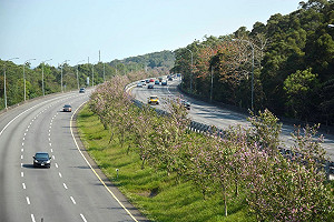 明天收假！公路總局點名10大易塞路段