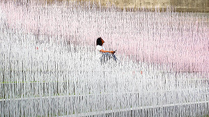 賞桐花兼賞夢幻地景！苗栗漸層粉白色竹籤海成新亮點
