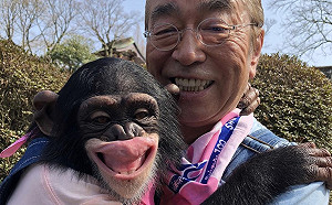 (影)淚崩！捨不得跟志村健道別 猩猩小龐一路追討抱抱