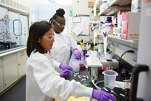 武肺剋星？ 美研究稱：利用SARS抗體成功破解新冠病毒「罩門」