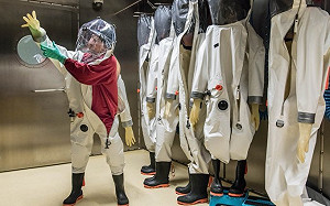 德國死亡病例極低   疾病研究所所長：死亡率被低估了