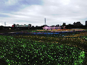 新北春之戀！百萬顆星星燈打造  蝴蝶燈海超好拍