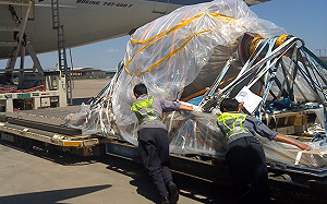 到中國椄防疫物資回不去 法籍機師與1600萬片口罩留上海