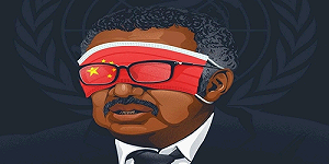 譚德塞飆罵台灣  日網友氣炸：熊貓閉嘴，去吃竹子吧