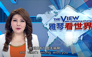 台灣不是塑膠做的！張雅琴烙英文嗆譚德塞：你是「中國」衛生組織秘書長