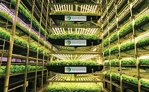 食農新趨勢！2020年食品科技500大領頭羊各領風潮