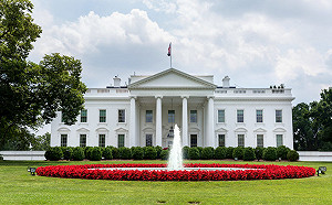 挺台加入WHO已達標！白宮請願網站發起「邀請台灣加入聯合國」連署