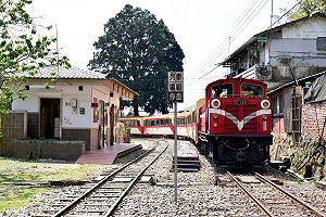 武漢肺炎》加強防疫！阿里山林鐵主題列車停開至6/30