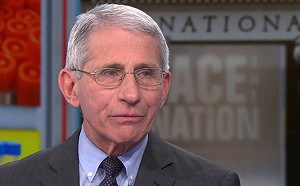 川普要開除「美國陳時中」？  轉發推文 :「是時候解僱弗契」