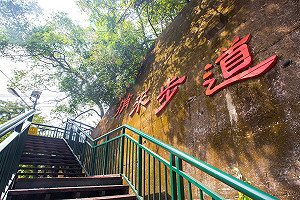 「谷關七雄線」郵輪式公車獲中央核淮  今年下半年上路