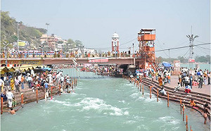 武漢肺炎淨化印度？超髒恆河水已可「直接飲用」瀕危海龜上岸產卵