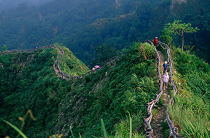 「谷關七雄」郵輪式公車　走訪山景更便利預計下半年上路