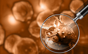 科技業投入抗疫！超級電腦、疫情網站、防疫產品各出奇招