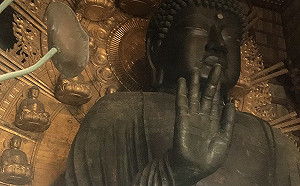 日本奈良東大寺本殿限制參觀 奈良大佛改當「直播主」