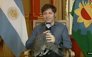 (影)愛貓全程打斷省長採訪　大秀屁屁搶走所有風采！