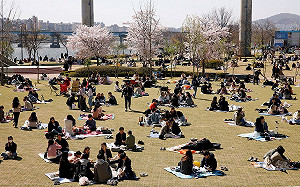 漢江等知名景點湧人潮 南韓政府說話了