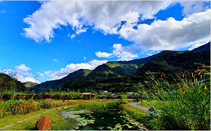 仁愛鄉南豐村眉溪畔許多生態物種消失 聯手合作已成部落秘境