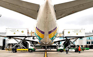 兩岸航線初步解封 交通部擬增6航點開放客機載貨