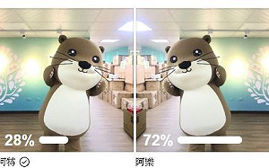 好萌！金門吉祥物選定歐亞水獺  縣府辦命名活動