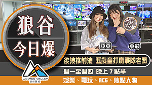 狼谷今日爆》Steam封中國IP禁玩病毒遊戲 任天堂籲玩家綁定二階段認證