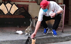 (影)疫情讓餐廳都關門  暖男賣報紙餵浪貓：幫牠們度過難關！