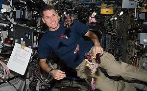 太空傳來好消息！NASA太空站種出安全營養的生菜