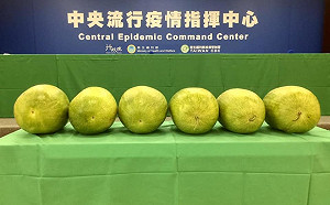 「最強業配王」陳時中記者會擺6顆大西瓜 幕後原因是...