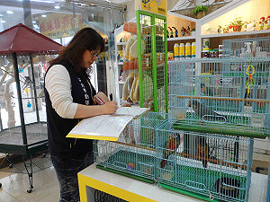 新北爭取寵物業納入紓困方案 經濟部允助業者度小月