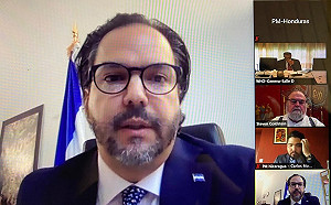 友邦宏都拉斯大使視訊譚德塞！挺台要求台灣加入WHA