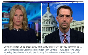 世衛大會在即 美議員籲川普成立新國際衛生組織