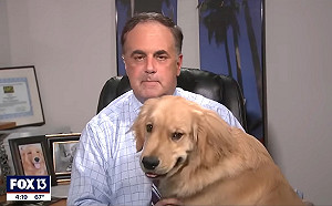 (影)氣象學家正經直播中　家中黃金突亂入：攝影鏡頭竟跟著牠跑！