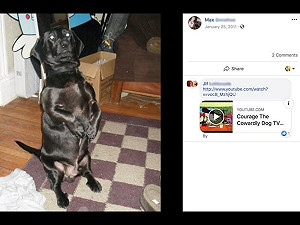 帳號被鎖！FB要求「出示愛犬駕照」 女子：該教牠開車了