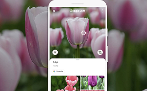 Google Lens智慧鏡頭升級！手寫文字可複製到電腦 還能唸給你聽