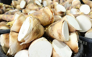 嘉縣烏殼綠竹筍突破新冠疫情 成功外銷加拿大