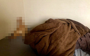 在家上班狂被干擾！推主無視　一轉頭卻見主子厭世：不需要偶了嗎