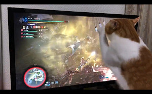 (影)貓咪看到怪獸「忙助攻」　網笑崩：螢幕要死了！