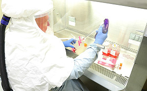 美當局示警 中國企圖竊取武漢肺炎疫苗研究