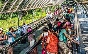 香港海洋公園將於下月破產！  港府擬資助54億港幣