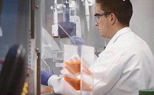 武肺疫苗還要等多久？ 歐盟：可能1年後製成上市