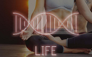 夏日到！減肥生化戰又將開打