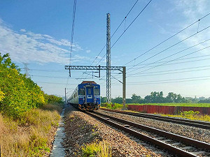 大湖＝中洲段老婦騎單車闖鐵道 遭撞死亡