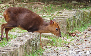 張文隆觀點》從貪婪之島到生命之島
