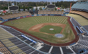 MLB復賽守則落落長67頁 沖澡擁抱嚼菸草全都禁