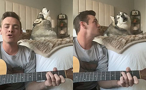 (影)醫護爸甜蜜哼歌　哈士奇閉眼深情合音網陶醉：太暖了！